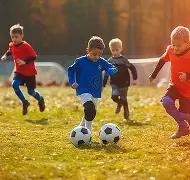 神殿娱乐,资讯,神殿娱乐官网,神殿娱乐,神殿娱乐官网,中国神殿娱乐,神殿娱乐入口