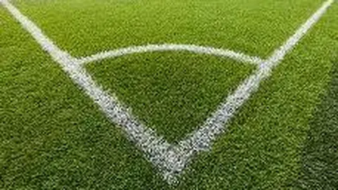 博德之门3项目负责人转任最后生还者后部